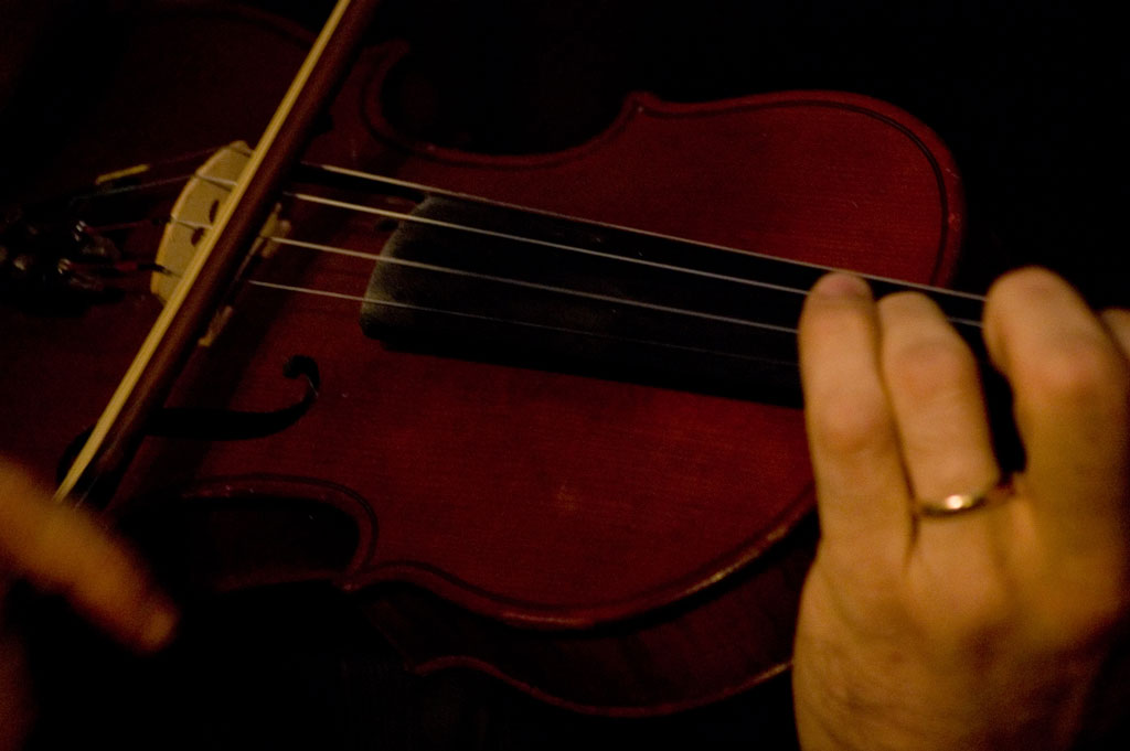 come corde di violino