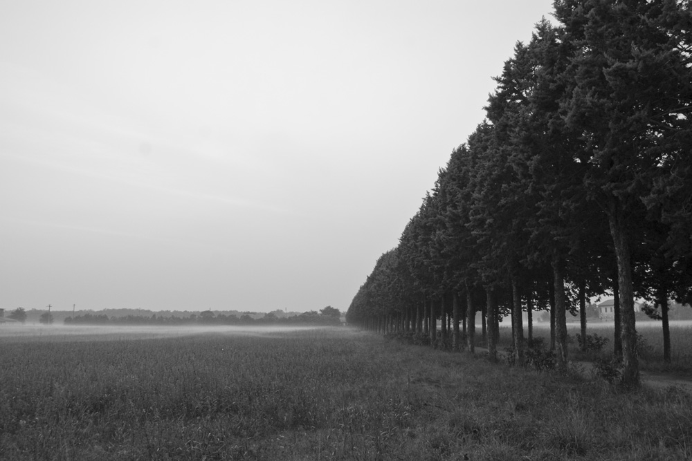 Verso la perdizione....