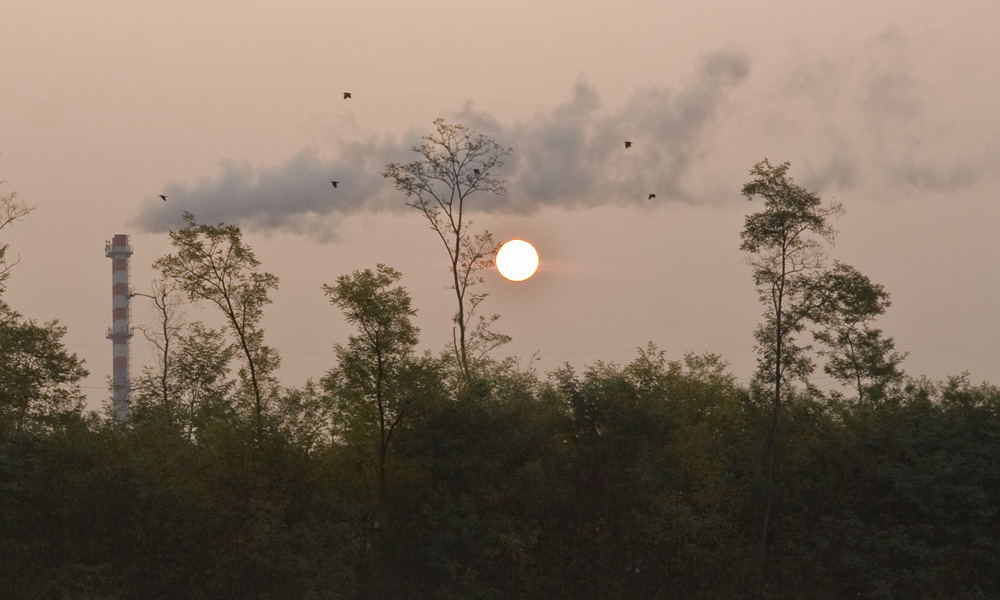 Cattivo risveglio....