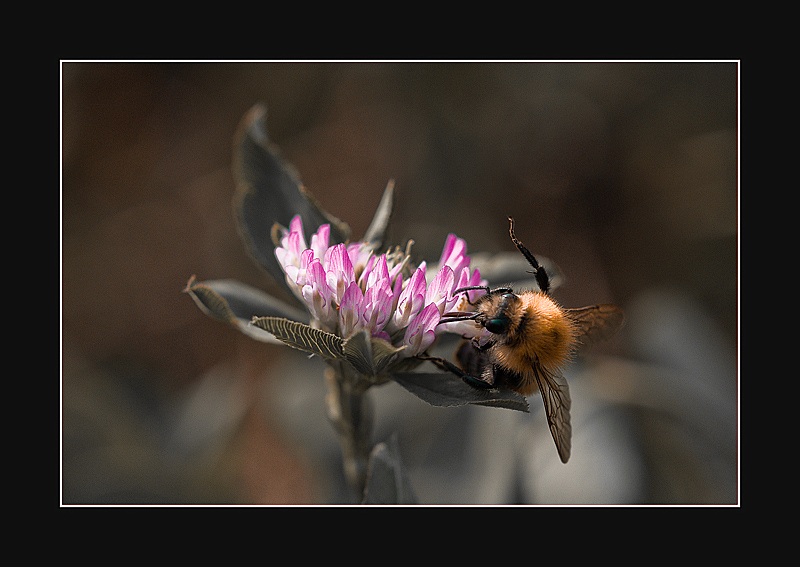 ultimi acquisti prima dell'inverno
