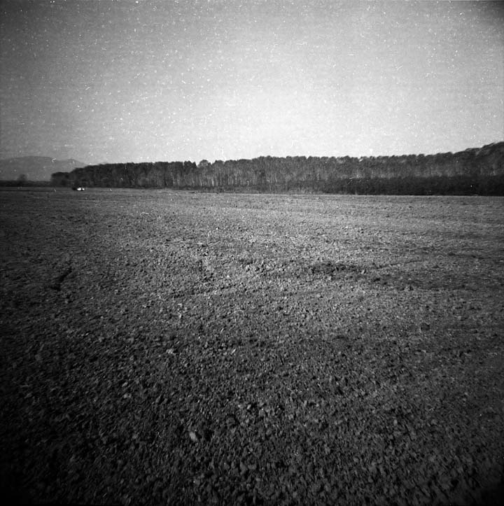 Immagini dal padule #3