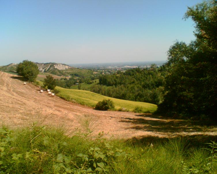 i bellissimi paesaggi che vedo camminando