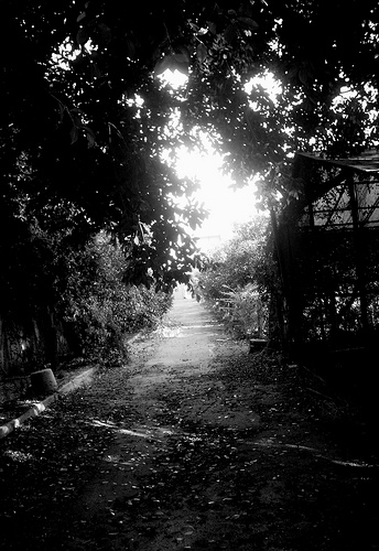 From Teatro di Verdura