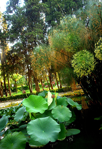 From Teatro di Verdura