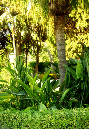 From Teatro di Verdura