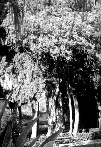 From Teatro di Verdura