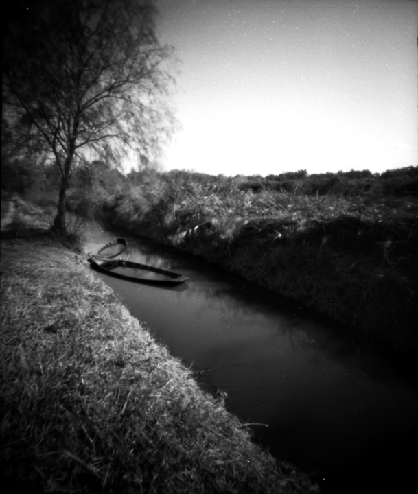 Stenopeiche dal padule