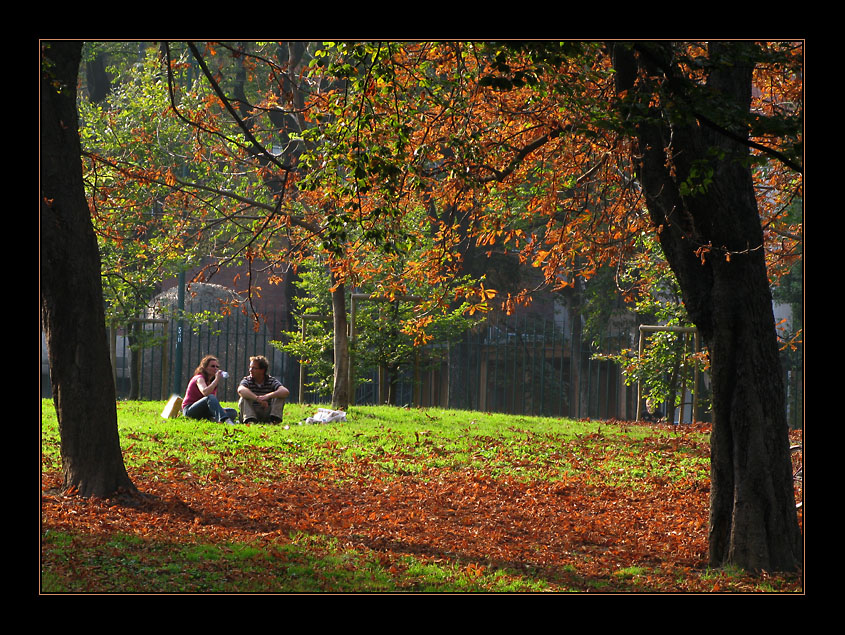 Una domenica d'autunno al parco