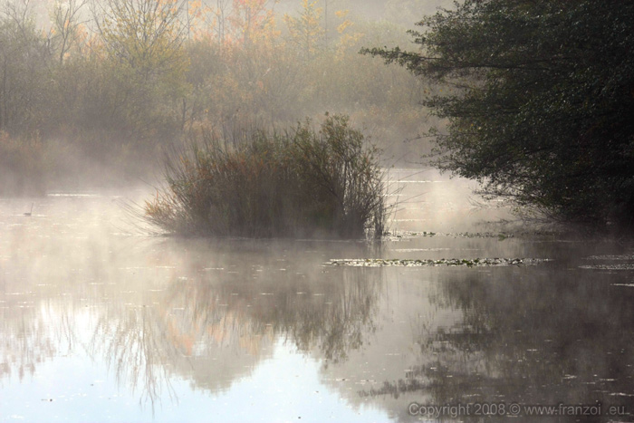 Palude del lago Pudro
