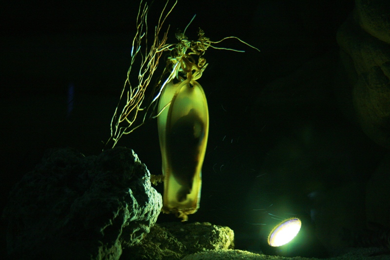 La culla della vita...