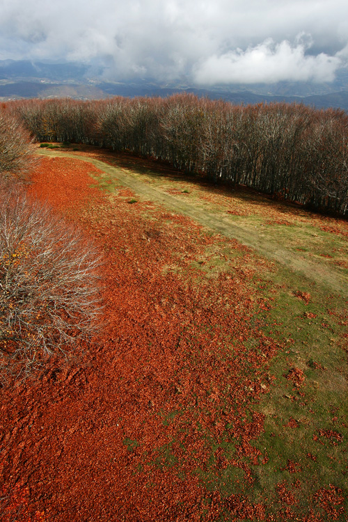 I faggi si spogliano