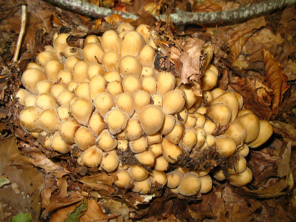 INCONTRI RAVVICINATI