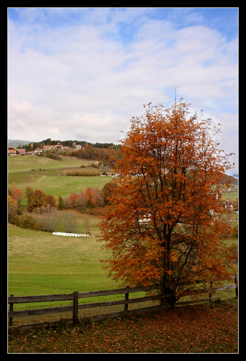 Colori d'autunno