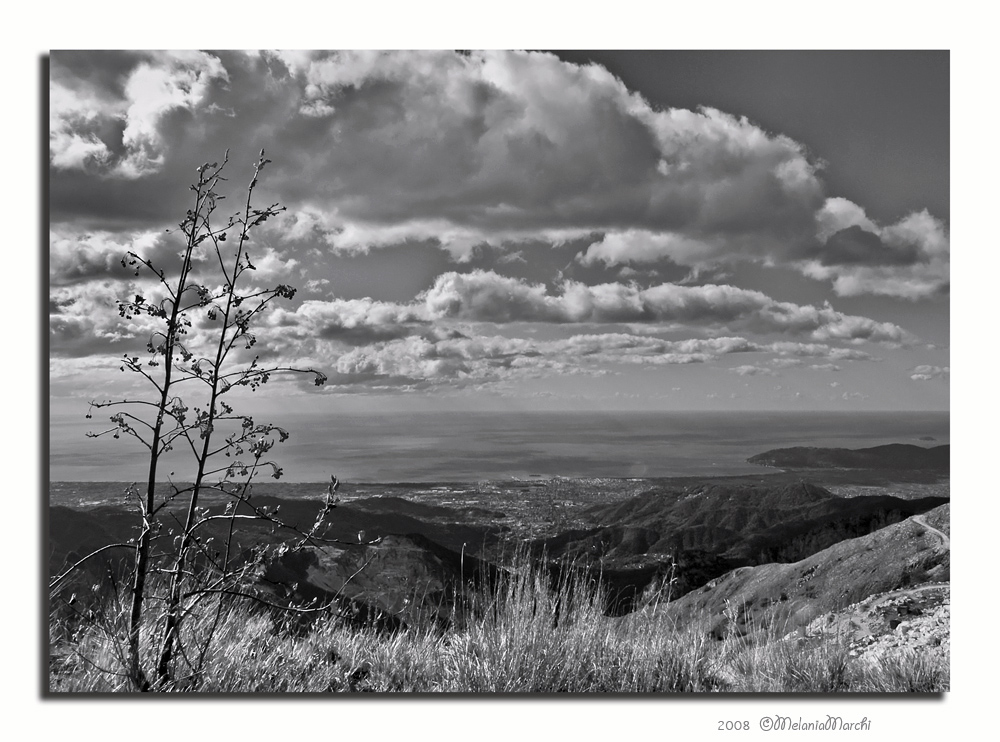 Sotto questo cielo...