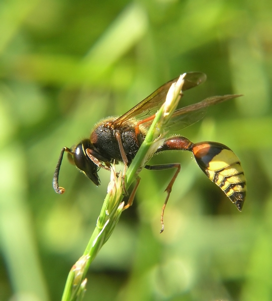 Un p� di ginnastica