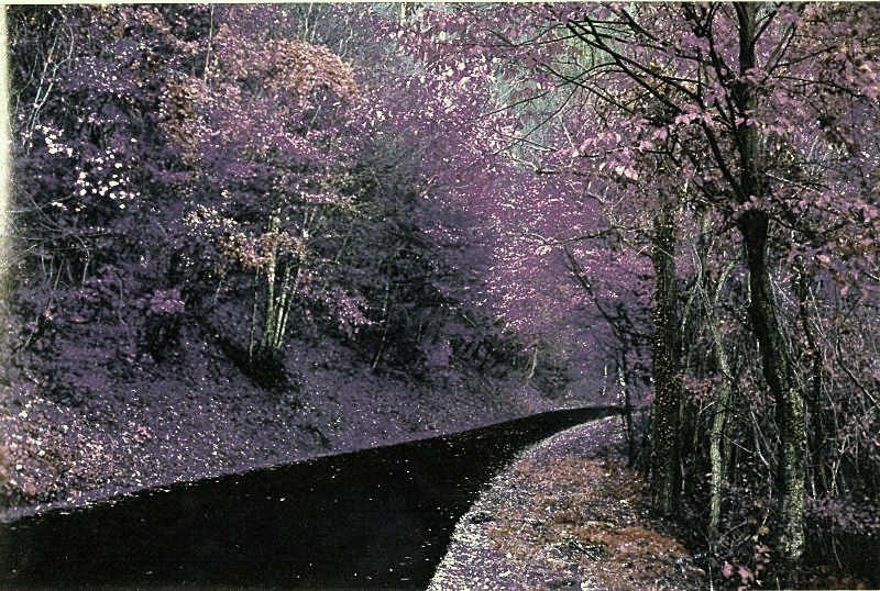 strane cromie d'autunno