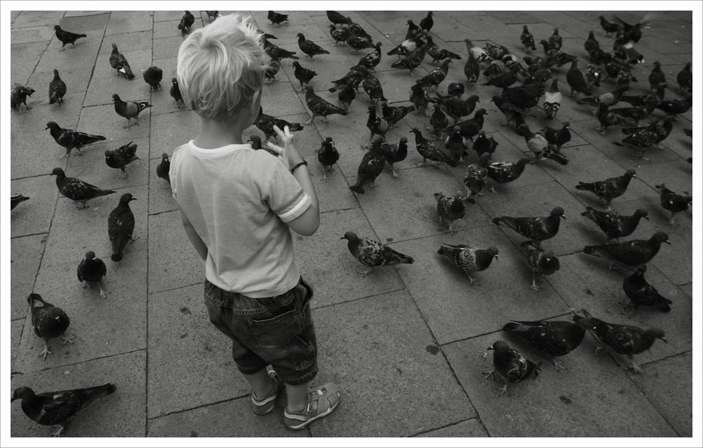 bimbo e piccioni