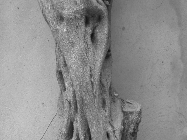 un ricordo di guerra