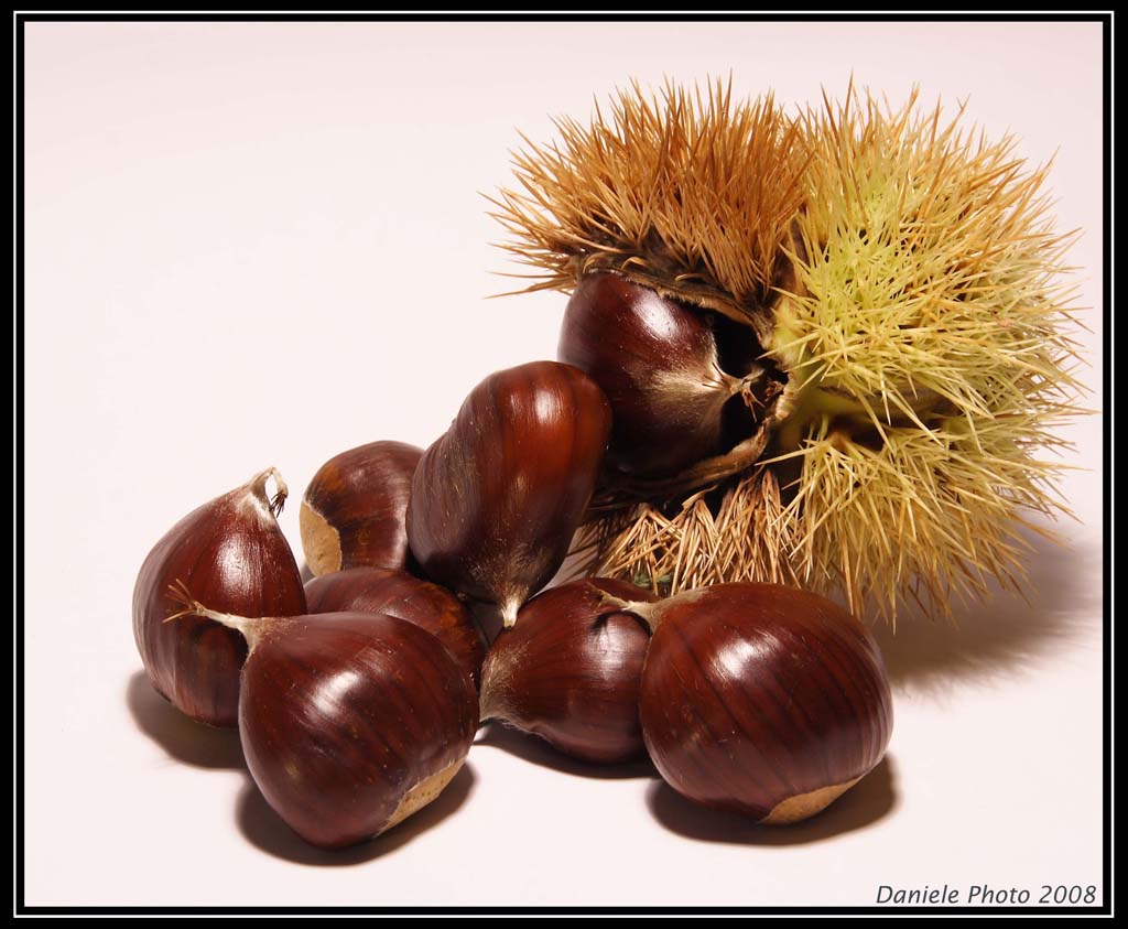 8 castagne