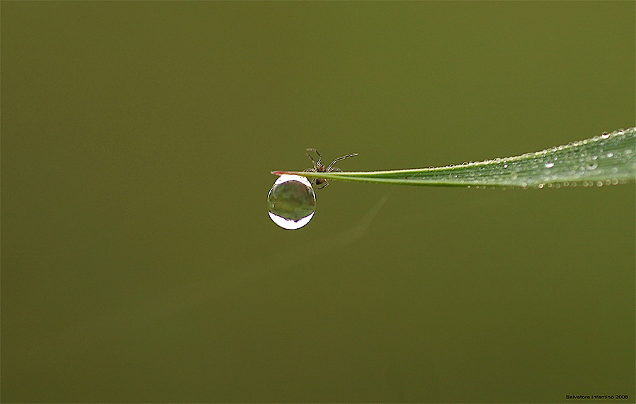 Il giro Del Mondo !!!
