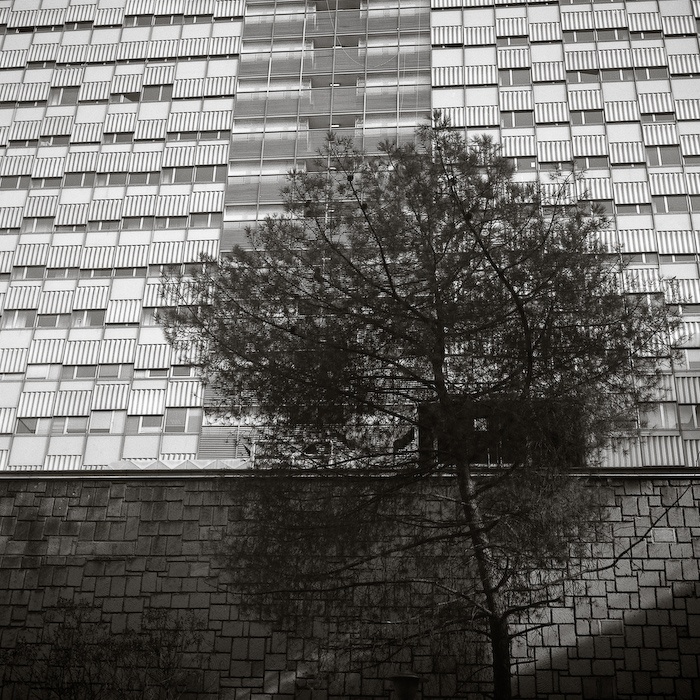 EUR (serie in corso)