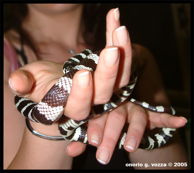 SCONFIGGERE LA PAURA