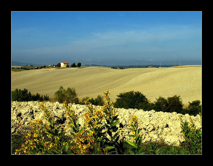 Panorama nel Pisano -2