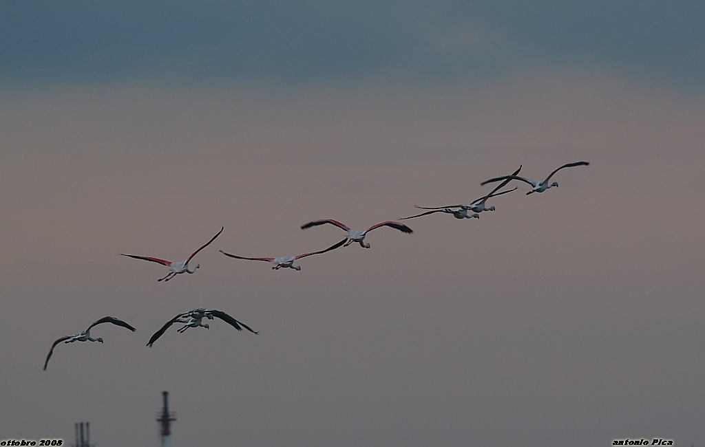 In lontananza al calar del sole