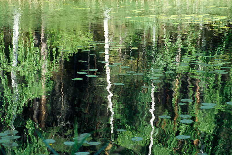 quel copione di monet