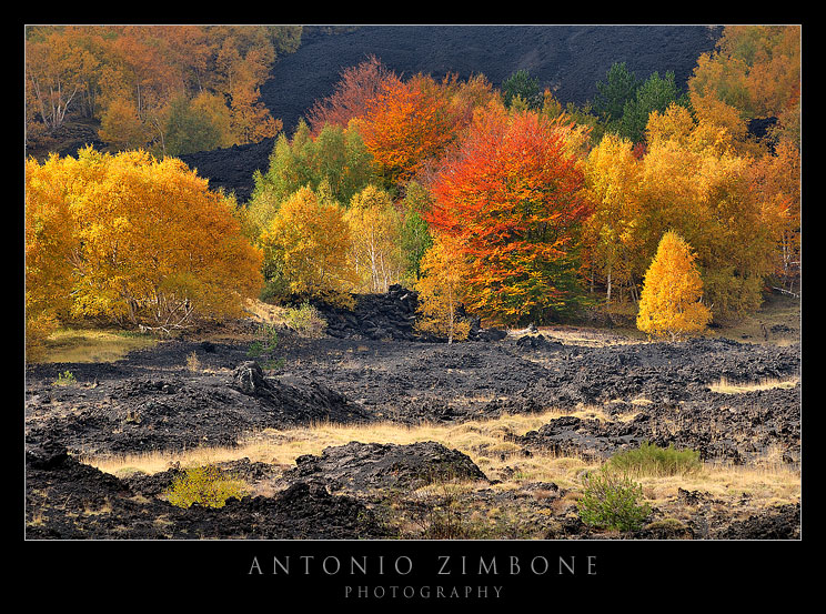 Autunno sull'Etna