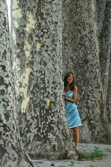 La foresta incantata