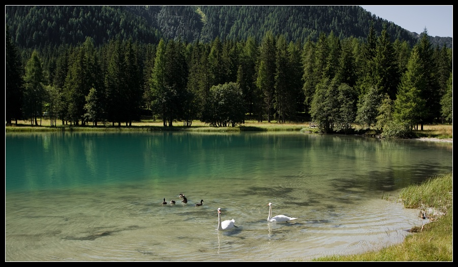 anterselva