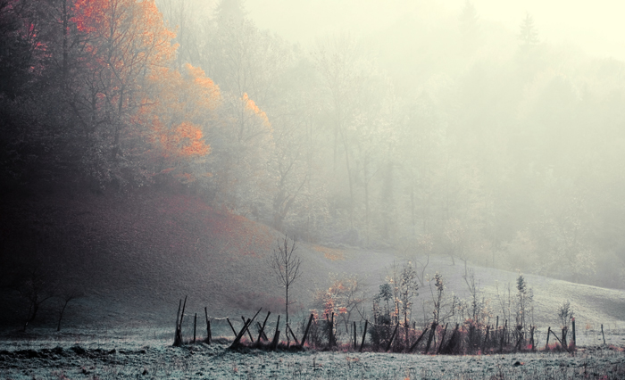 Impressioni di ottobre