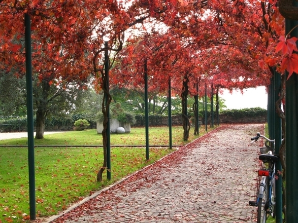 Autunno in citt�