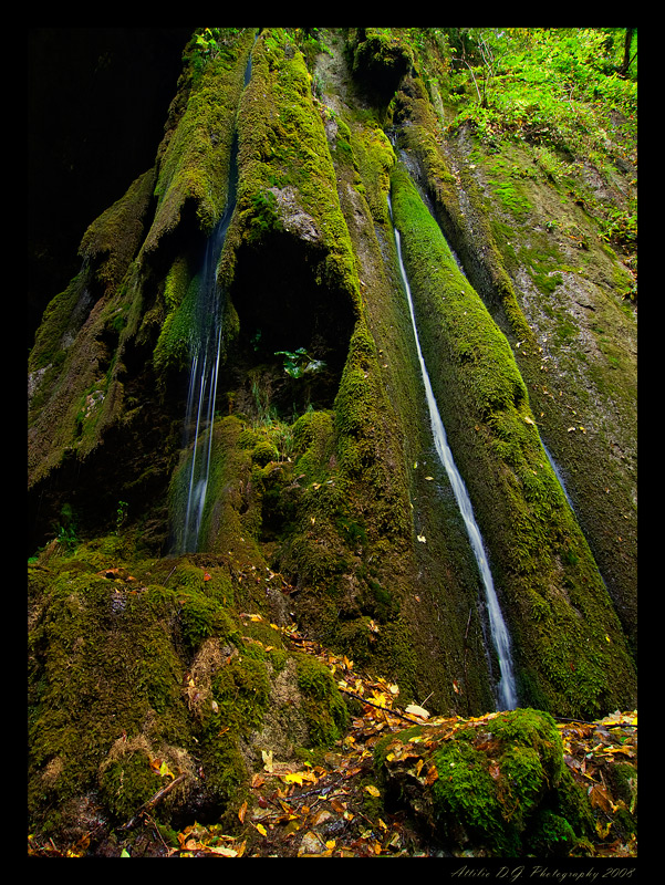 Cascata dentro il verde....