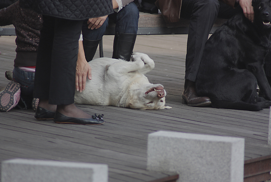 Un gesto ....d'affetto!