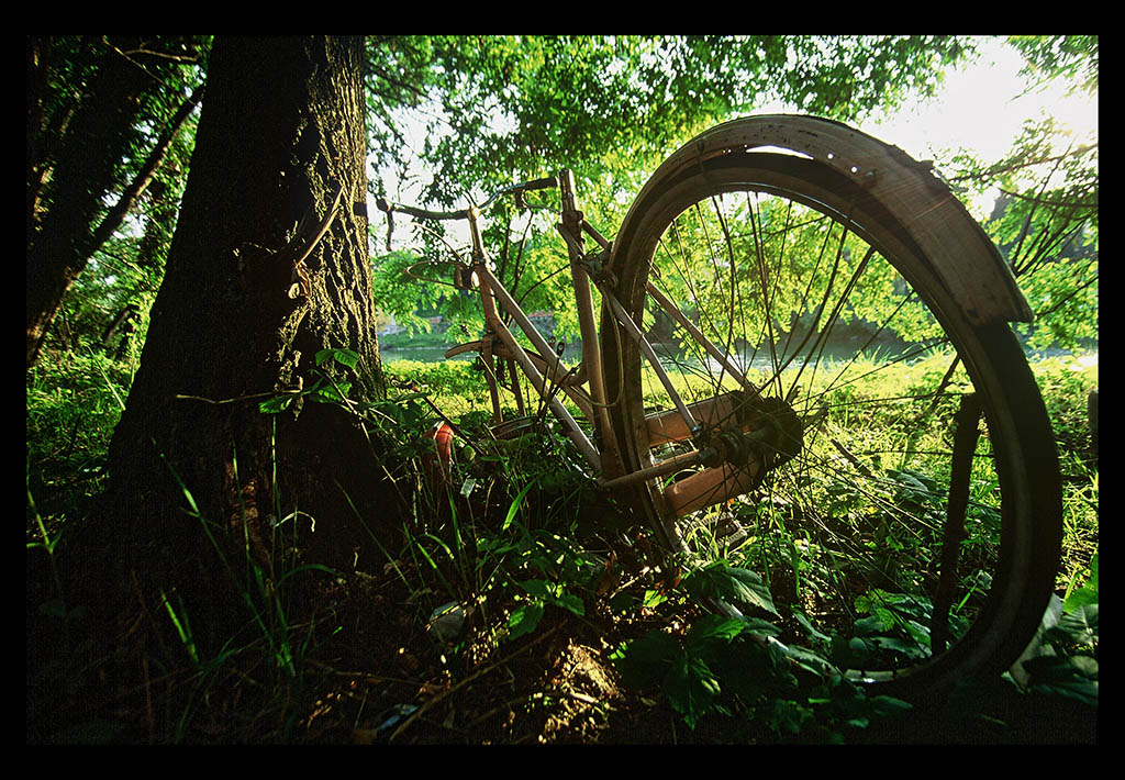 miHaiLasciatoTuttaSola n�2