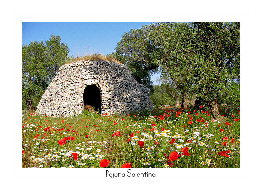 Pajara Salentina