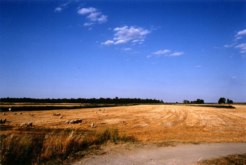 Marchesato crotonese