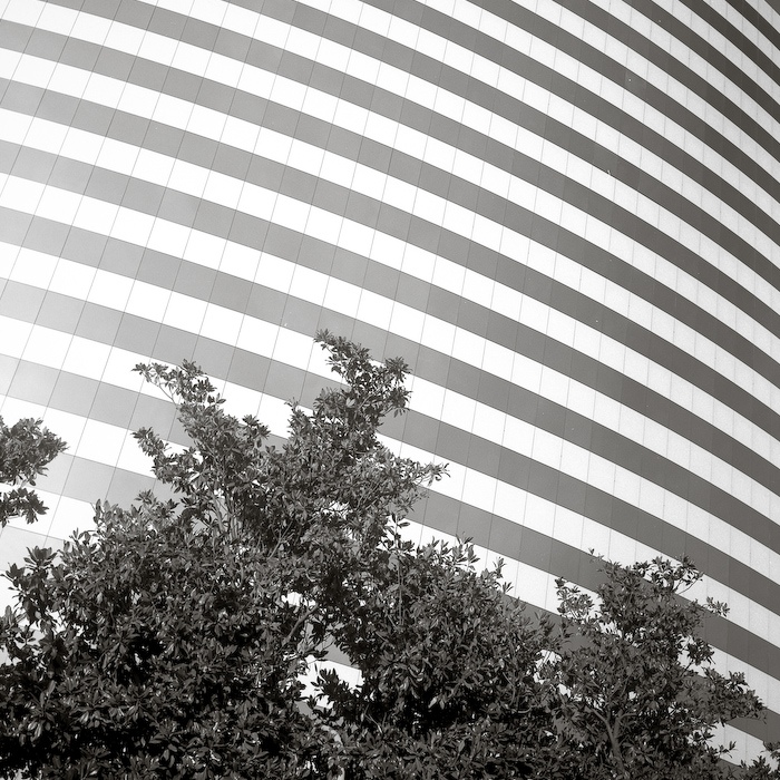 EUR (serie in corso)