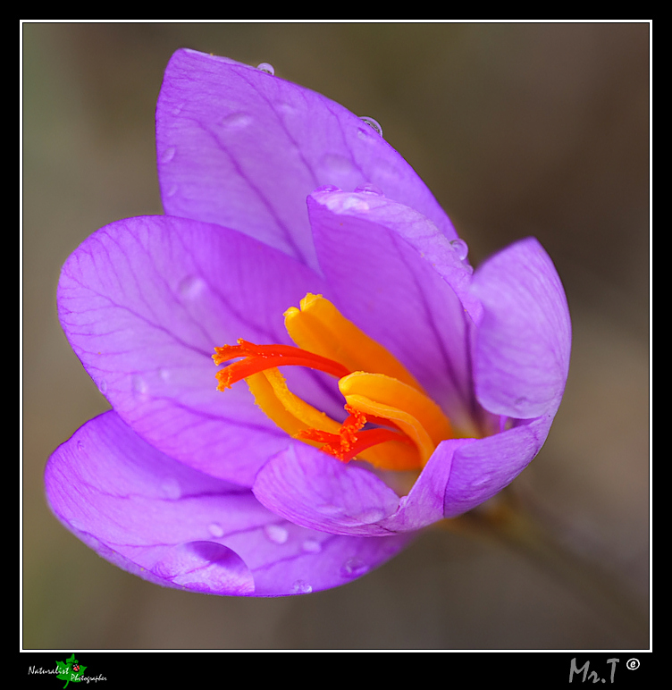 Desiderio di uscire dall'ombra