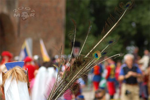 Pomposa imperialis abbatia - 2007 - 001