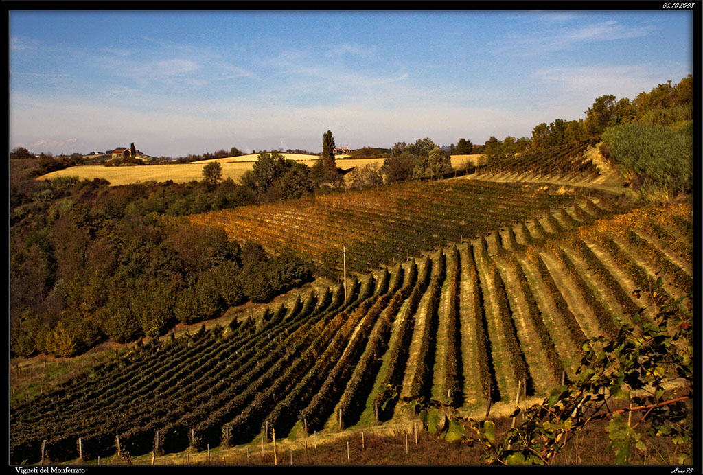 Colli del Monferrato