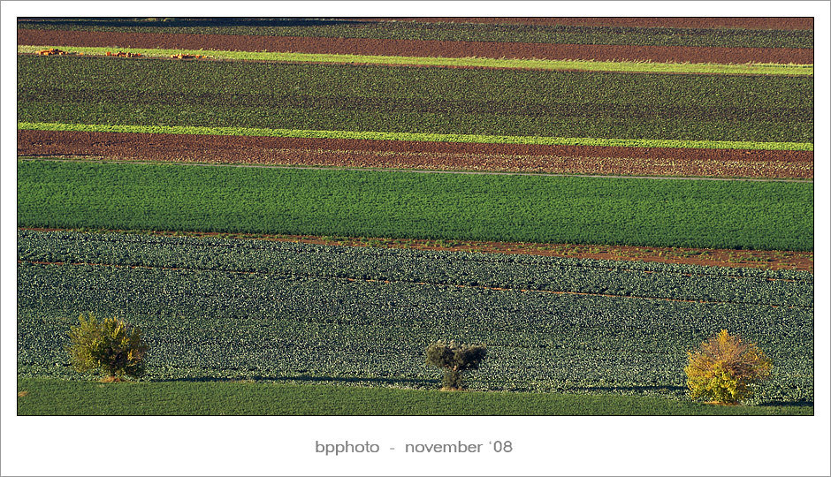 ...nonsolocolline...