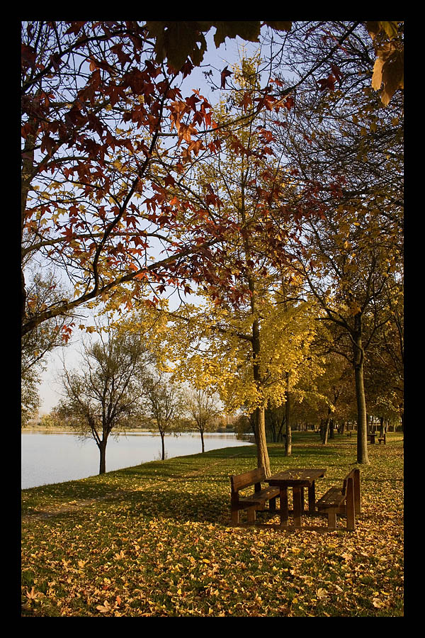 I colori dell'autunno pt.2