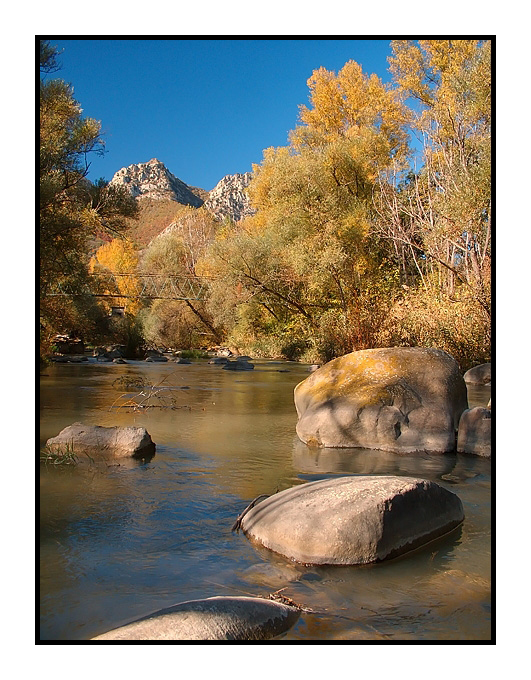 ...SWEET NOVEMBER...