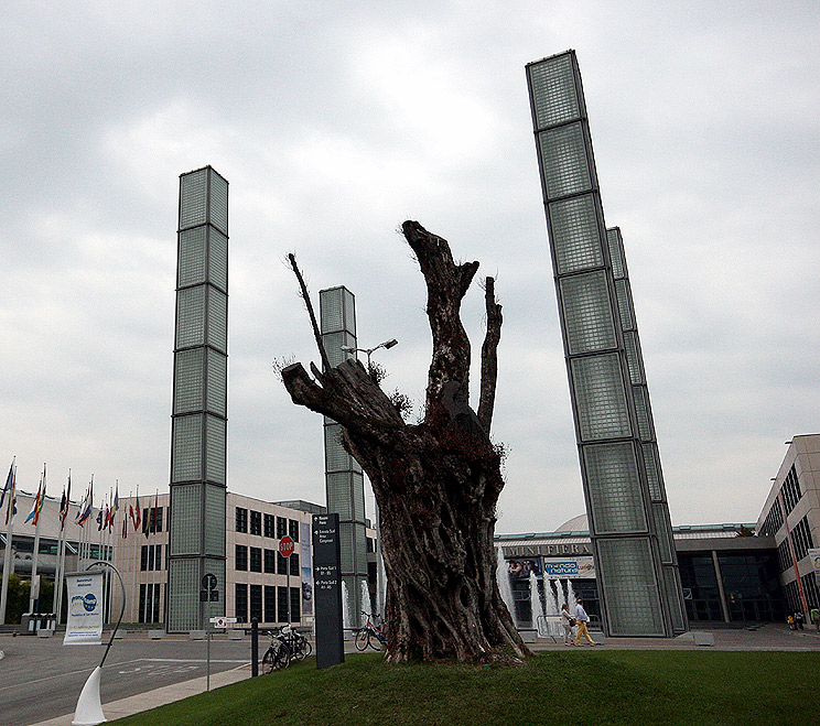 RIMINI FIERA - MONDONATURA 2008 - REPORT