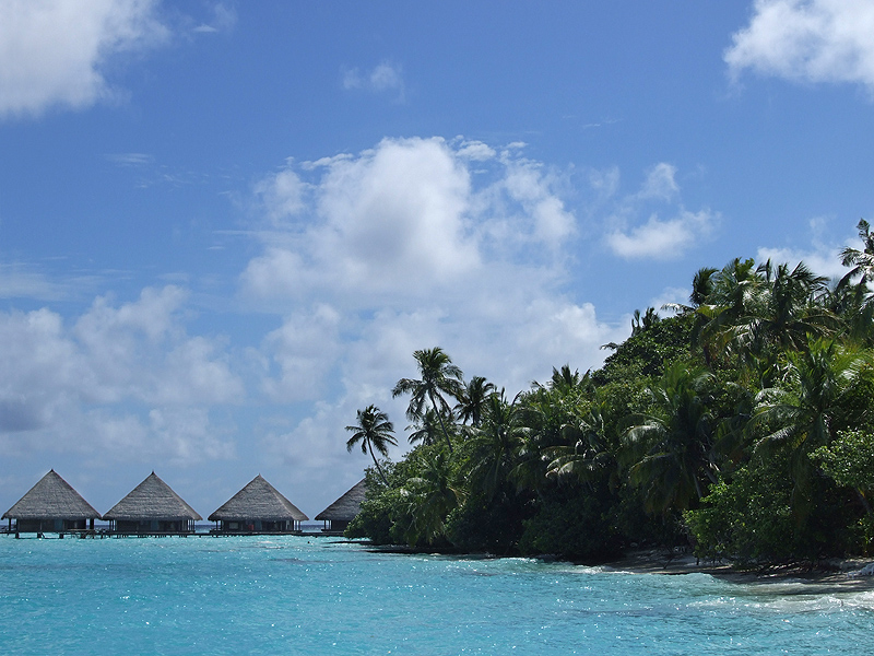 MALDIVE