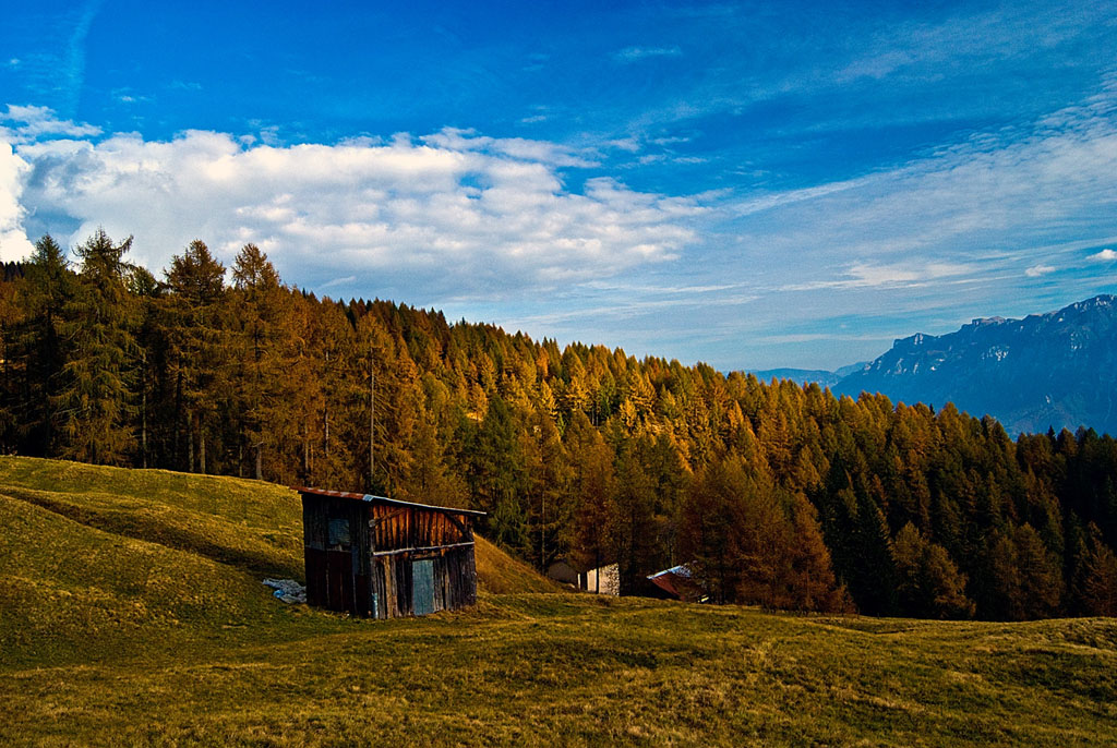 Autunno sui Lagorai