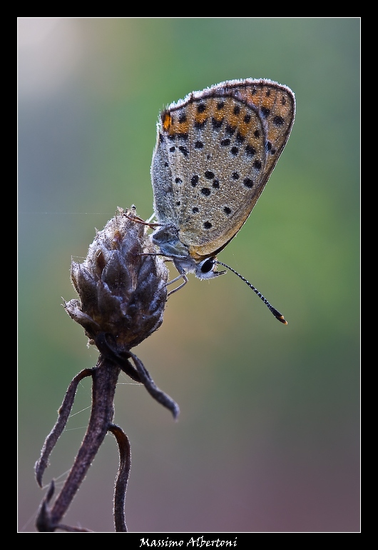 Finalmente un p� di tepore!